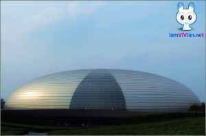 national-center2