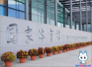 national-indoor-stadium2