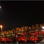 nest6