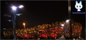 nest6